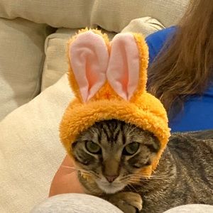 Meet your Posher, Nat